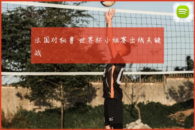 法国对秘鲁 世界杯小组赛出线关键战