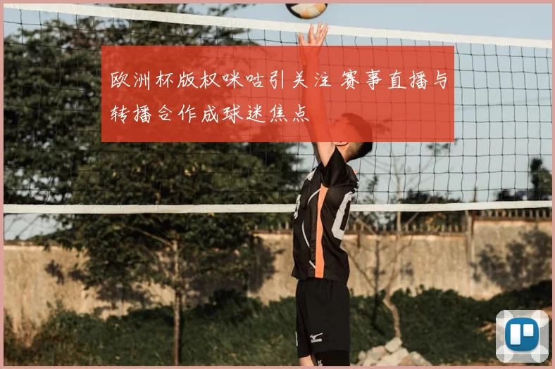 欧洲杯版权咪咕引关注 赛事直播与转播合作成球迷焦点