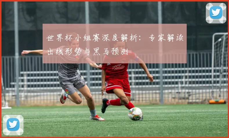 世界杯小组赛深度解析：专家解读出线形势与黑马预测