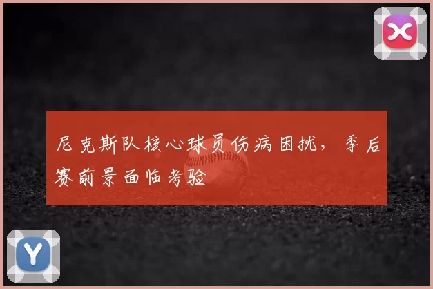 尼克斯队核心球员伤病困扰,季后赛前景面临考验