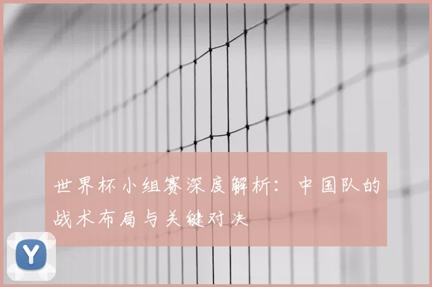世界杯小组赛深度解析:中国队的战术布局与关键对决