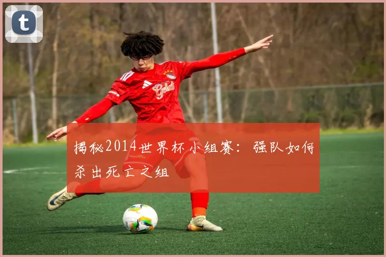 揭秘2014世界杯小组赛：强队如何杀出死亡之组