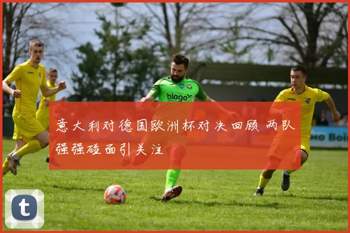 意大利对德国欧洲杯对决回顾 两队强强碰面引关注
