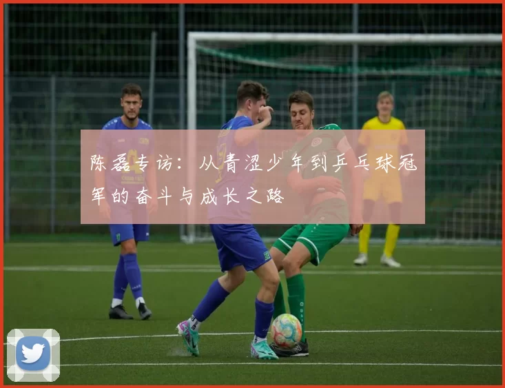 陈磊专访:从青涩少年到乒乓球冠军的奋斗与成长之路