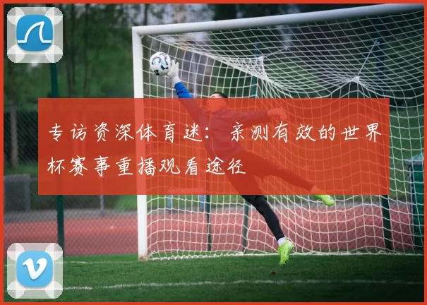专访资深体育迷：亲测有效的世界杯赛事重播观看途径